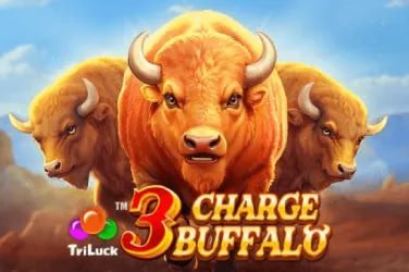 big4 Feature-Rich Slot Sections